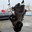 Двигатель новый CFN 1.6 VW Polo Volkswagen Polo оригинальный номер 03C100092BX