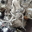 Акпп Toyota Succeed оригинальный номер 3013052232