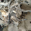 Акпп Toyota Corolla оригинальный номер 3040002010, 3040012260
