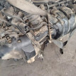 Акпп Toyota Camry оригинальный номер 190000H140