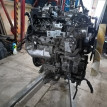 Двигатель Nissan Pathfinder III рестайлинг (2010—2014) Nissan Pathfinder оригинальный номер 1010200Q3R