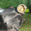 Указатель поворота правый VW Passat B3 Volkswagen Passat оригинальный номер 357953050