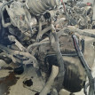 Акпп Ford Mondeo оригинальный номер 7G917000
