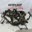 Проводка двигателя Toyota Corolla E150 Toyota Corolla оригинальный номер 8212112D70