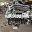 Двигатель Lexus LS460 2008-2009 1900038350 1UR-FSE Lexus LS 