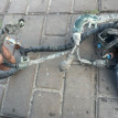 Проводка двигателя Honda Civic 8 Honda Civic оригинальный номер 32110rnht523