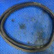 Уплотнитель двери задней левой Volkswagen Polo 5 Volkswagen Polo оригинальный номер 6RU 867 913 A5AP