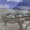 Коса двигателя Ssang Yong Kyron D20DT Ssang Yong Kyron оригинальный номер 6641505633