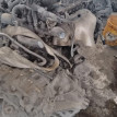Акпп Nissan X-Trail оригинальный номер 310201XF0C