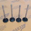 Комплект впускных клапанов 4 шт BMW X1 E84 N47D20C BMW X1 