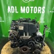 Двигатель Ford Focus 1998-2007 1215904 EDDB Ford Focus  