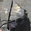 Поддон Subaru Forester оригинальный номер 11109AA151
