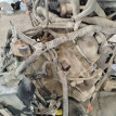 Акпп Chevrolet Lacetti оригинальный номер 96433190
