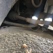 Рычаг подвески нижний правый Toyota Caldina 1993 Toyota Caldina 