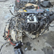 Двигатель Opel Astra оригинальный номер 5601646