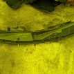 Жабо Toyota Tank оригинальный номер 55729B1010