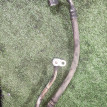 Трубка кондиционера Nissan Almera N15 GA14DE Nissan Almera оригинальный номер 924902M215