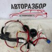 Проводка задней левой двери Hyundai Elantra 5MD Hyundai Elantra оригинальный номер 916503X021