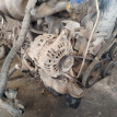 Двигатель Mitsubishi i 