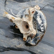 Кулак поворотный Toyota bB NCP31 Toyota bB оригинальный номер 4321152020