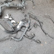 Проводка двигателя Mercedes ML W164 3.5 Mercedes-Benz M-klasse оригинальный номер A2721502833