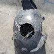 Подкрылок Renault Kangoo оригинальный номер 8200426494
