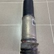 Амортизатор, Пневма задняя левая Bmw 7-Series E65 BMW 7er оригинальный номер 37126785537