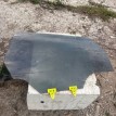 Стекло двери задней левой Nissan Qashqai (J10) I Nissan Qashqai оригинальный номер 82301JD005
