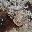 Акпп Toyota Platz оригинальный номер 3050052102