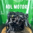 Двигатель Ford Focus 1998-2007 1215904 EDDB Ford Focus  
