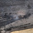 Название детали Пыльник двигателя правый Модель Citroen Berlingo B9 Citroen Berlingo  оригинальный номер 7013EE