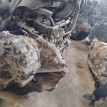 АКПП Renault Koleos оригинальный номер 310201XF7B