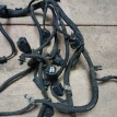 Проводка двигателя Peugeot 3008 2010-2017 754806480 Peugeot 3008  
