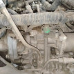 Двигатель Nissan Qashqai оригинальный номер 10102JN30F, 10102EW80F, 10102JE30F