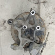Кулак поворотный Opel Vectra C 1.8 Opel Vectra 