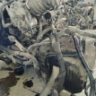 Акпп Ford Mondeo оригинальный номер 7G917000