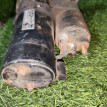 Стартер Chery Kimo A1 S123708110BA Chery Kimo (A1) оригинальный номер S123708110BA