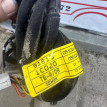 Проводка двери передней правой Hyundai Getz Hyundai Getz оригинальный номер 918101c020