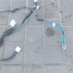 Проводка передней левой двери Toyota Avensis T250 Toyota Avensis оригинальный номер 8215205600