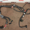 Проводка АКПП BMW X3 оригинальный номер 12 53 8 646 485, 12 53 8 646 485, 12538646485, 8646485, 12 53 7 619 130, 12537619130, 7619130