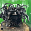 Двигатель Ford Focus 1998-2007 1215904 EDDB Ford Focus  