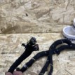 Проводка подторпедная Jetour Dashing  оригинальный номер 806016936AA