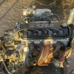 Двигатель Honda Torneo 2000 CF5 F23A Honda Torneo 