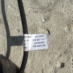 L Датчик положения крышки багажника VW Туарег NF Volkswagen Touareg оригинальный номер 7p6827711