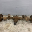 Задний мост редуктор 4311 Toyota Hilux 4Runner 3VZ Toyota 4runner оригинальный номер 4120169285