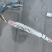 Проводка задней левой двери Toyota Avensis T250 Toyota Avensis оригинальный номер 8215405170