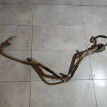 Горловина топливного бака Ford Focus оригинальный номер 1312710