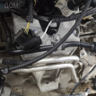Лапа двигателя BMW M4 F82/F83 (2014—2017) BMW M4 оригинальный номер 22 11 6 797 831