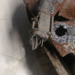 Коллектор выпускной SR18DE  Nissan Bluebird U14 Nissan Bluebird оригинальный номер 140048E500