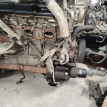 Двигатель Nissan Teana оригинальный номер 10102JN01F, 10102JN0AW